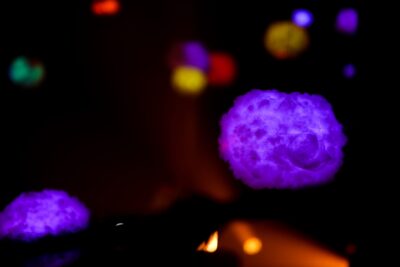 Tausend Tage Treppenhaus - No Joke - 01.04.2023